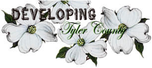 <font face=ARIAL>Developing Tyler County logo and brand identity and letterhead creation</font>